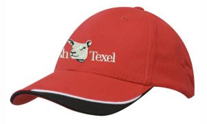 Irish Texel Baseball Cap –  Red